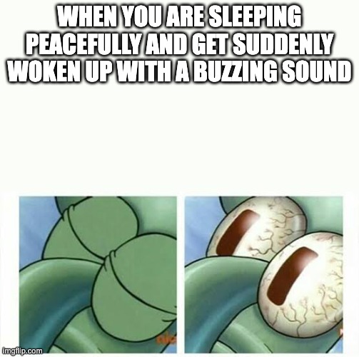 WHEN YOU ARE SLEEPING PEACEFULLY AND GET SUDDENLY WOKEN UP WITH A BUZZING SOUND | made w/ Imgflip meme maker