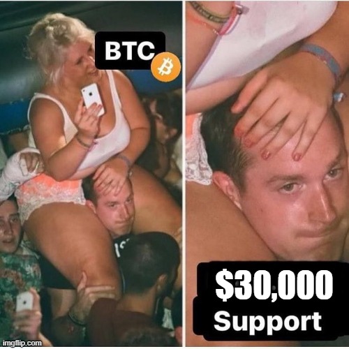 C'mon Bro Hold that $30,000Kg | $30,000 | image tagged in btc,bitcoin,cryptocurrency,crypto | made w/ Imgflip meme maker