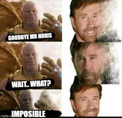 CANT GET RID OF CHUCK | GOODBYE MR NORIS; WAIT.. WHAT? IMPOSIBLE | image tagged in chuck norris,thanos,superheroes,avengers | made w/ Imgflip meme maker