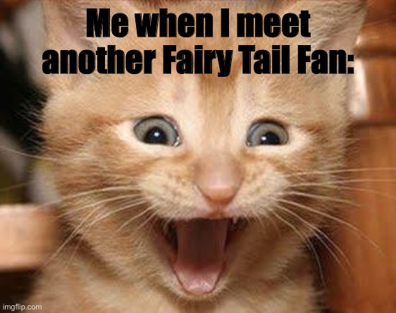 Excited Cat Meme | Me when I meet another Fairy Tail Fan: | image tagged in memes,excited cat | made w/ Imgflip meme maker