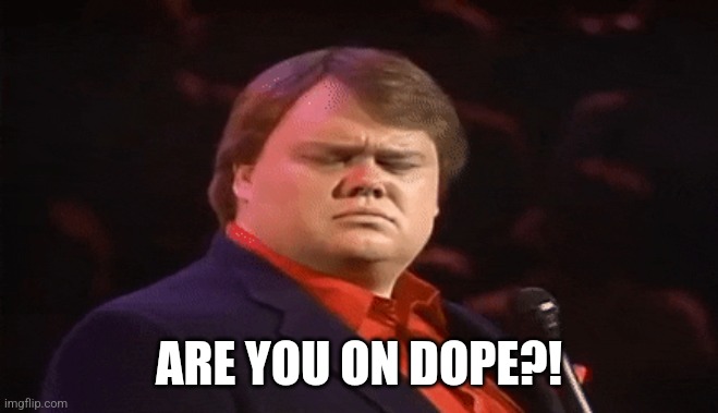 Louie Anderson Dope | ARE YOU ON DOPE?! | image tagged in dope,comedy,stand up,louie anderson | made w/ Imgflip meme maker