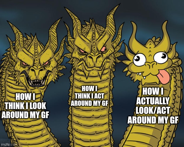 xD | HOW I THINK I ACT AROUND MY GF; HOW I ACTUALLY LOOK/ACT AROUND MY GF; HOW I THINK I LOOK AROUND MY GF | image tagged in three-headed dragon,lgbtq,girlfriend,funny memes,gif,not really a gif | made w/ Imgflip meme maker