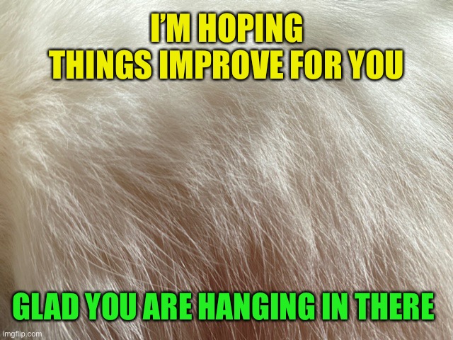 I’M HOPING THINGS IMPROVE FOR YOU GLAD YOU ARE HANGING IN THERE | made w/ Imgflip meme maker