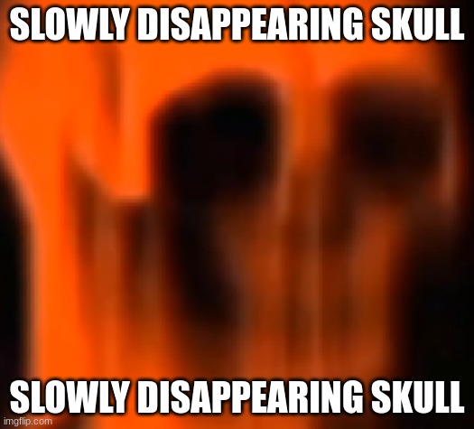 SLOWLY DISAPPEARING SKULL; SLOWLY DISAPPEARING SKULL | made w/ Imgflip meme maker