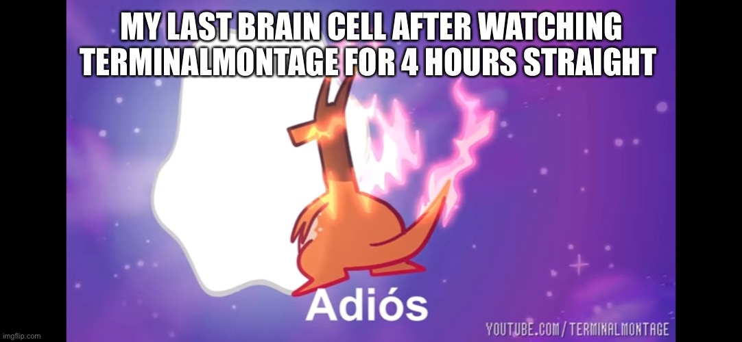 Adiós Giganamax Charizard | MY LAST BRAIN CELL AFTER WATCHING TERMINALMONTAGE FOR 4 HOURS STRAIGHT | image tagged in adi s giganamax charizard | made w/ Imgflip meme maker