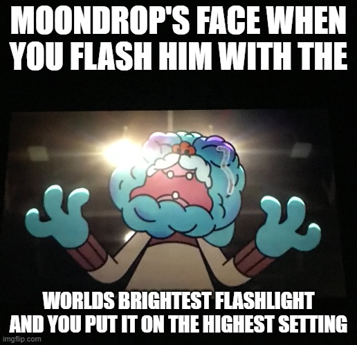 FNAF-Security Breach | MOONDROP'S FACE WHEN YOU FLASH HIM WITH THE; WORLDS BRIGHTEST FLASHLIGHT AND YOU PUT IT ON THE HIGHEST SETTING | image tagged in funny | made w/ Imgflip meme maker