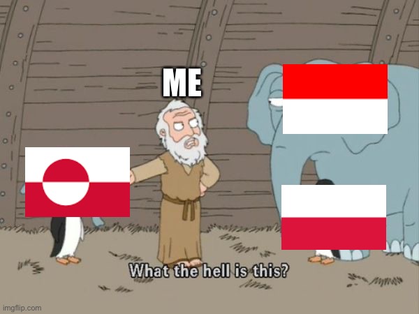 Poland + Indonesia = Greenland | ME | image tagged in what the hell is this | made w/ Imgflip meme maker