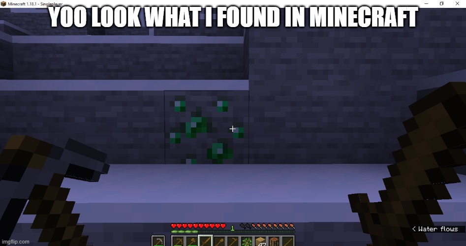 YOO LOOK WHAT I FOUND IN MINECRAFT | made w/ Imgflip meme maker