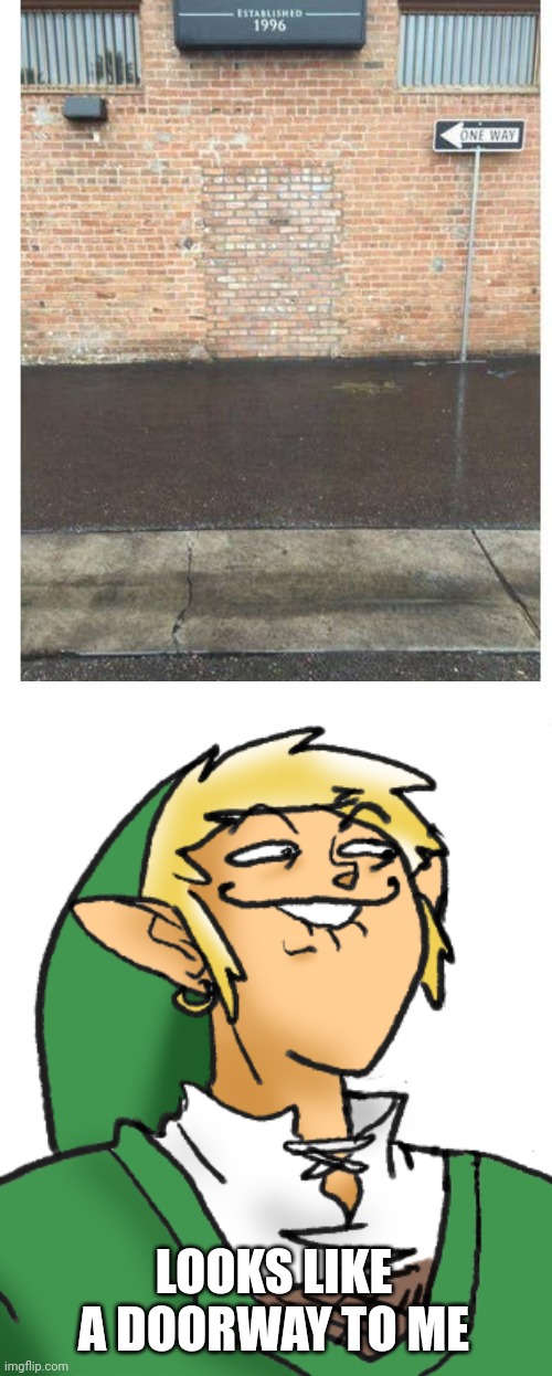 PROBABLY A SECRET CHEST FULL OF RUPEES IN THERE |  LOOKS LIKE A DOORWAY TO ME | image tagged in the legend of zelda,link,secret,zelda | made w/ Imgflip meme maker