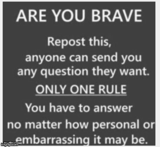 are you brave | image tagged in are you brave | made w/ Imgflip meme maker