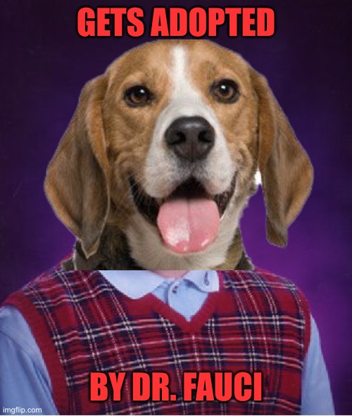 Even Hitler thinks Fauci is a scumbag | GETS ADOPTED; BY DR. FAUCI | image tagged in fauci killed dogs,dr fauci,fauci,bad luck brian,beagle,dogs | made w/ Imgflip meme maker