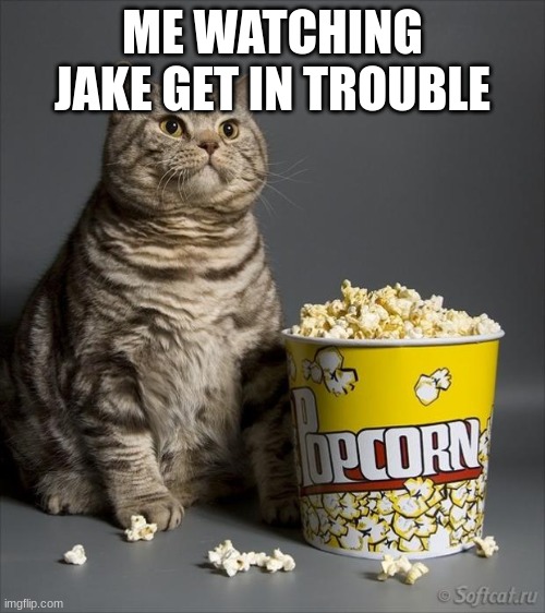 ITS LIKE A LIVE ACTION MOVIE :) | ME WATCHING JAKE GET IN TROUBLE | image tagged in cat eating popcorn,sibling rivalry,movies,trouble | made w/ Imgflip meme maker