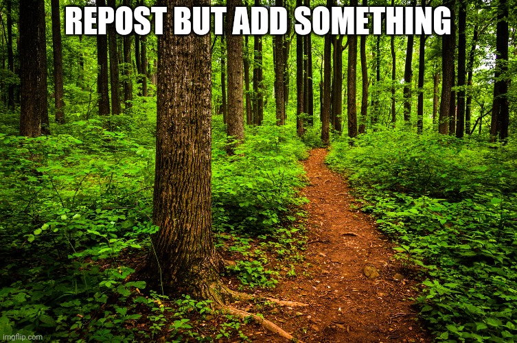 forest path | REPOST BUT ADD SOMETHING | image tagged in forest path | made w/ Imgflip meme maker