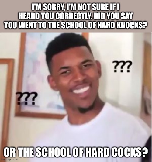 School of hard knocks | I'M SORRY, I'M NOT SURE IF I HEARD YOU CORRECTLY. DID YOU SAY YOU WENT TO THE SCHOOL OF HARD KNOCKS? OR THE SCHOOL OF HARD COCKS? | image tagged in funny,meme,memes,funny memes,school | made w/ Imgflip meme maker