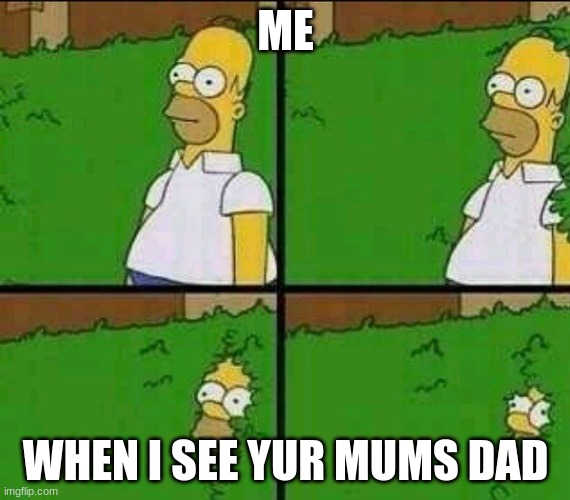 homer meme | ME; WHEN I SEE YUR MUMS DAD | image tagged in homer sipmson bushes | made w/ Imgflip meme maker
