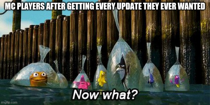 mc fans | MC PLAYERS AFTER GETTING EVERY UPDATE THEY EVER WANTED | image tagged in now what | made w/ Imgflip meme maker