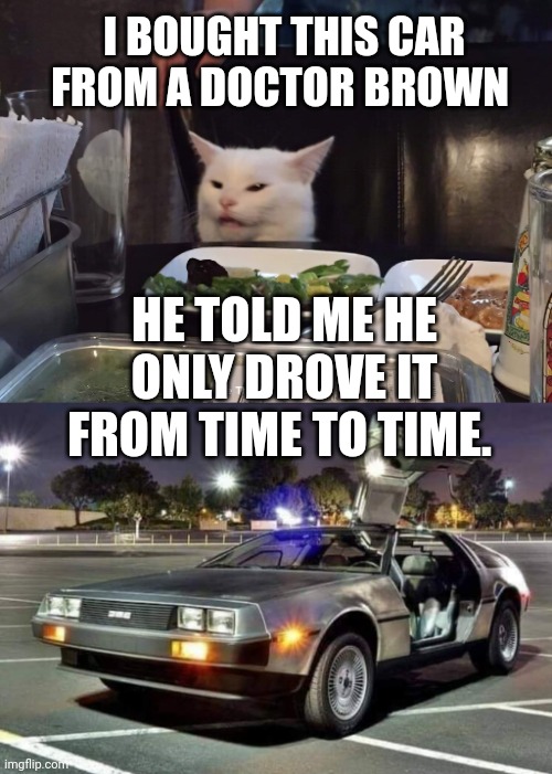 I BOUGHT THIS CAR FROM A DOCTOR BROWN; HE TOLD ME HE ONLY DROVE IT FROM TIME TO TIME. | image tagged in smudge the cat | made w/ Imgflip meme maker