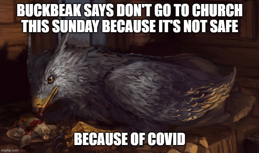 Buckbeak | BUCKBEAK SAYS DON'T GO TO CHURCH THIS SUNDAY BECAUSE IT'S NOT SAFE; BECAUSE OF COVID | image tagged in buckbeak | made w/ Imgflip meme maker