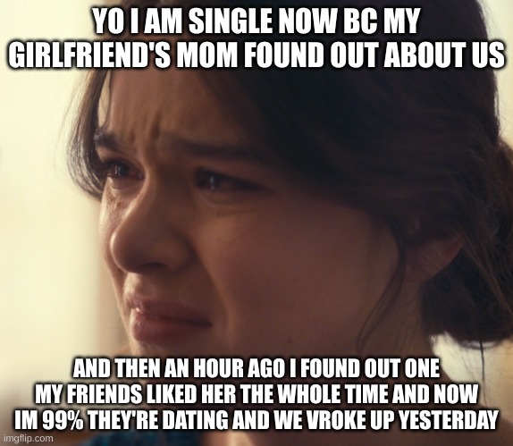 im very sad | YO I AM SINGLE NOW BC MY GIRLFRIEND'S MOM FOUND OUT ABOUT US; AND THEN AN HOUR AGO I FOUND OUT ONE MY FRIENDS LIKED HER THE WHOLE TIME AND NOW IM 99% THEY'RE DATING AND WE VROKE UP YESTERDAY | image tagged in sad emily dickinson | made w/ Imgflip meme maker