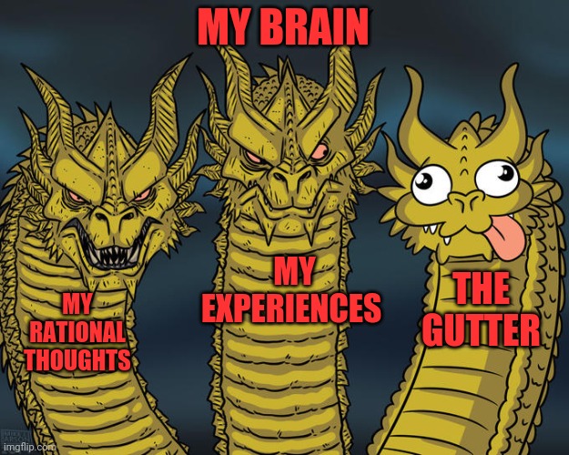 Brain | MY BRAIN; MY EXPERIENCES; THE GUTTER; MY RATIONAL THOUGHTS | image tagged in three-headed dragon,three stooges,brace yourselves x is coming,truly | made w/ Imgflip meme maker