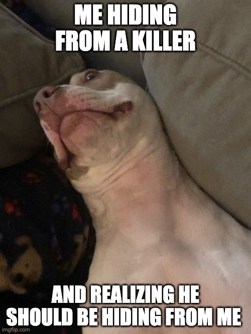 Literally me | ME HIDING FROM A KILLER; AND REALIZING HE SHOULD BE HIDING FROM ME | image tagged in memes,funny,original meme | made w/ Imgflip meme maker