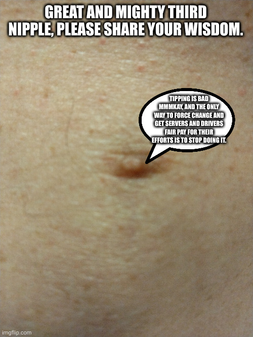 y'all gonna hate me for this one | GREAT AND MIGHTY THIRD NIPPLE, PLEASE SHARE YOUR WISDOM. TIPPING IS BAD MMMKAY, AND THE ONLY WAY TO FORCE CHANGE AND GET SERVERS AND DRIVERS FAIR PAY FOR THEIR EFFORTS IS TO STOP DOING IT. | image tagged in sezmos third nipple | made w/ Imgflip meme maker
