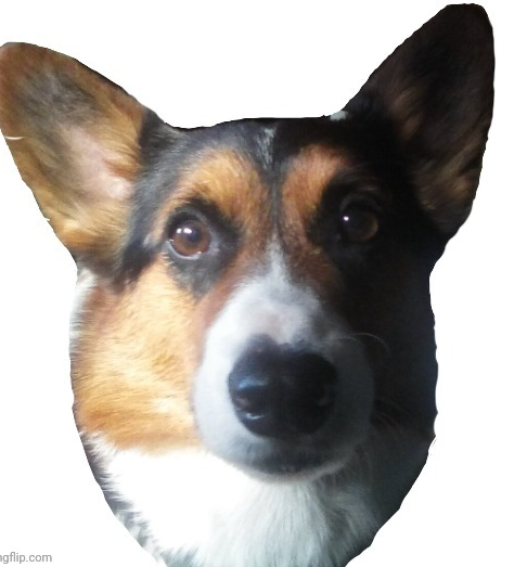 Tango Blank Meme Template