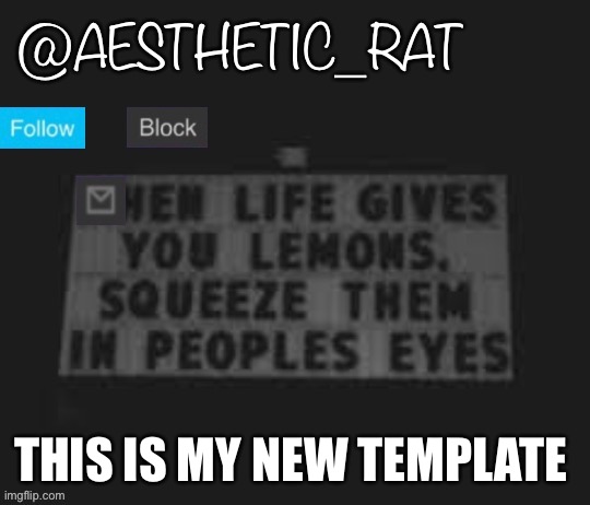 Aesthetic_Rat | THIS IS MY NEW TEMPLATE | image tagged in aesthetic_rat | made w/ Imgflip meme maker