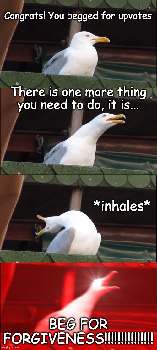 Inhaling Seagull Meme | Congrats! You begged for upvotes There is one more thing you need to do, it is... *inhales* BEG FOR FORGIVENESS!!!!!!!!!!!!!!! | image tagged in memes,inhaling seagull | made w/ Imgflip meme maker