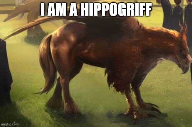 Hippogriff 2 | I AM A HIPPOGRIFF | image tagged in hippogriff 2 | made w/ Imgflip meme maker