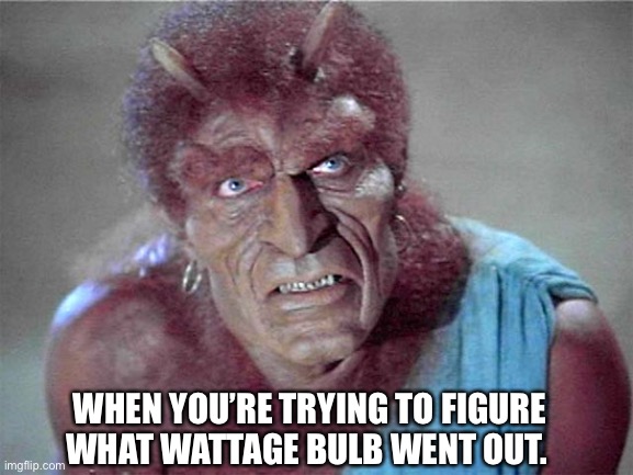 WHEN YOU’RE TRYING TO FIGURE WHAT WATTAGE BULB WENT OUT. | image tagged in oh jeeze | made w/ Imgflip meme maker