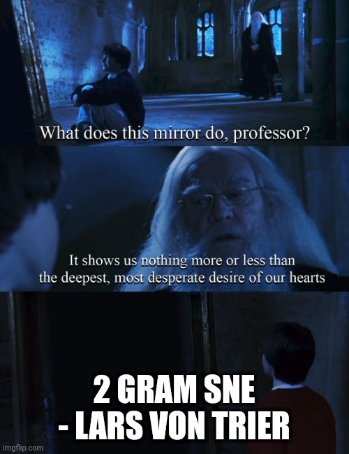 Harry potter mirror | 2 GRAM SNE - LARS VON TRIER | image tagged in harry potter mirror | made w/ Imgflip meme maker