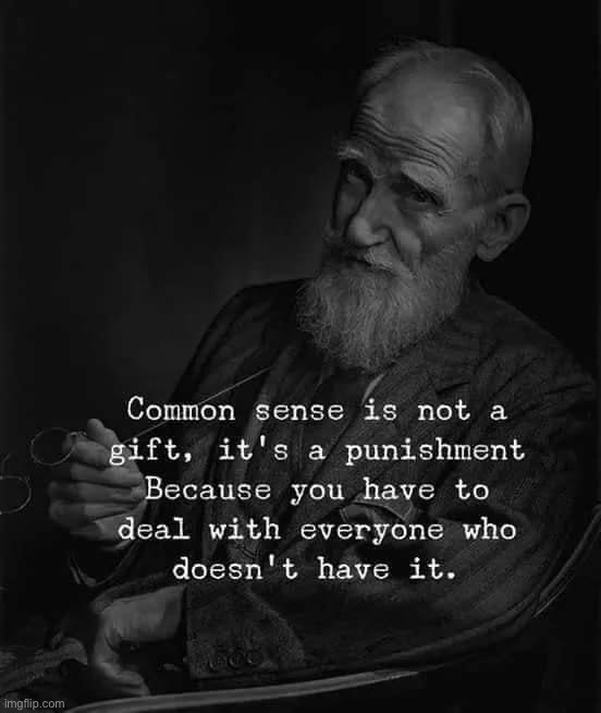 Common Sense is a punishment | image tagged in common sense is a punishment | made w/ Imgflip meme maker