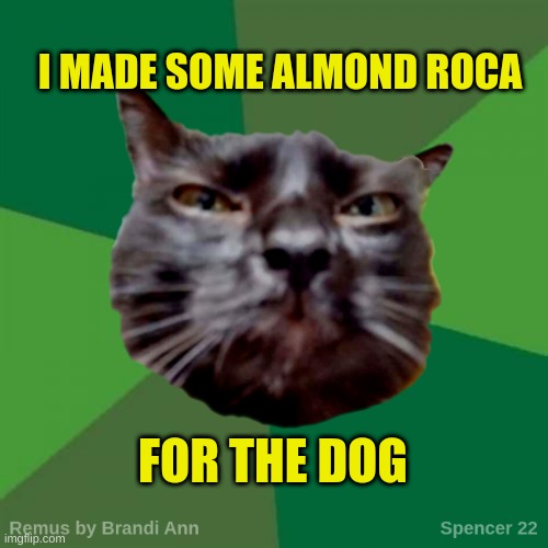 Almond Roca | I MADE SOME ALMOND ROCA; FOR THE DOG | image tagged in remus,candy,litter box,yummy,dogs,ewwww | made w/ Imgflip meme maker