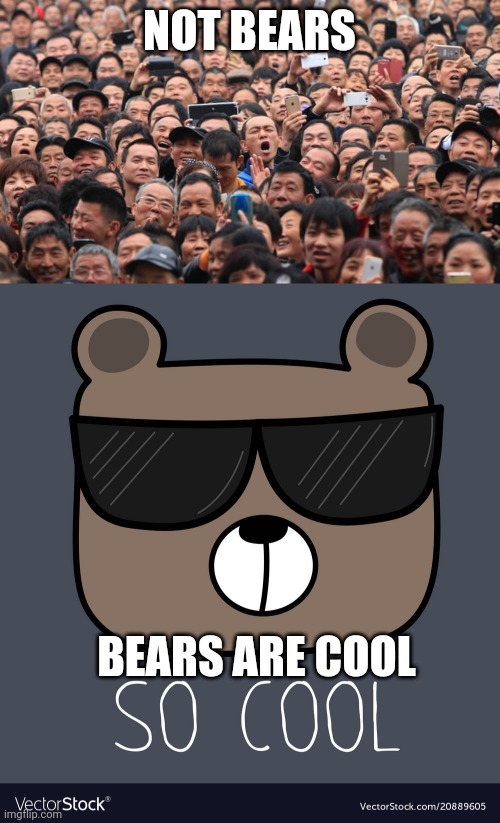 NOT BEARS; BEARS ARE COOL | made w/ Imgflip meme maker