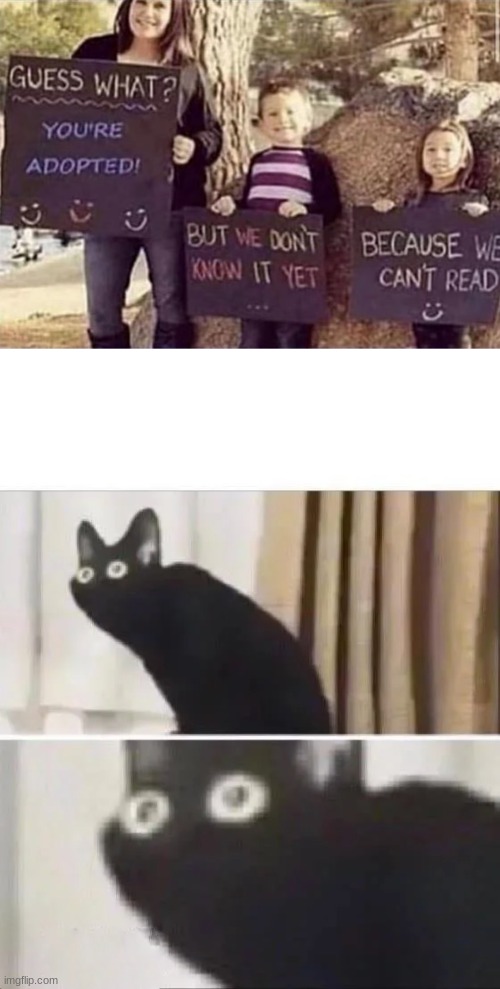 good job | image tagged in oh no black cat,meme,funny | made w/ Imgflip meme maker