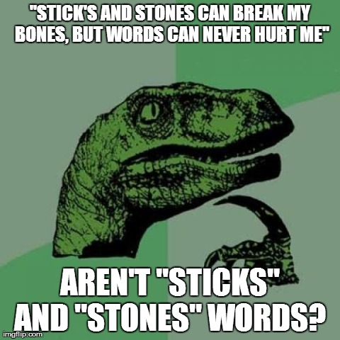 Philosoraptor | "STICK'S AND STONES CAN BREAK MY BONES, BUT WORDS CAN NEVER HURT ME" AREN'T "STICKS" AND "STONES" WORDS? | image tagged in memes,philosoraptor | made w/ Imgflip meme maker