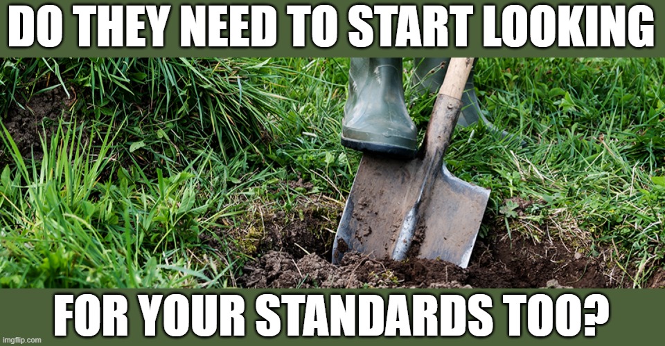 DO THEY NEED TO START LOOKING FOR YOUR STANDARDS TOO? | made w/ Imgflip meme maker