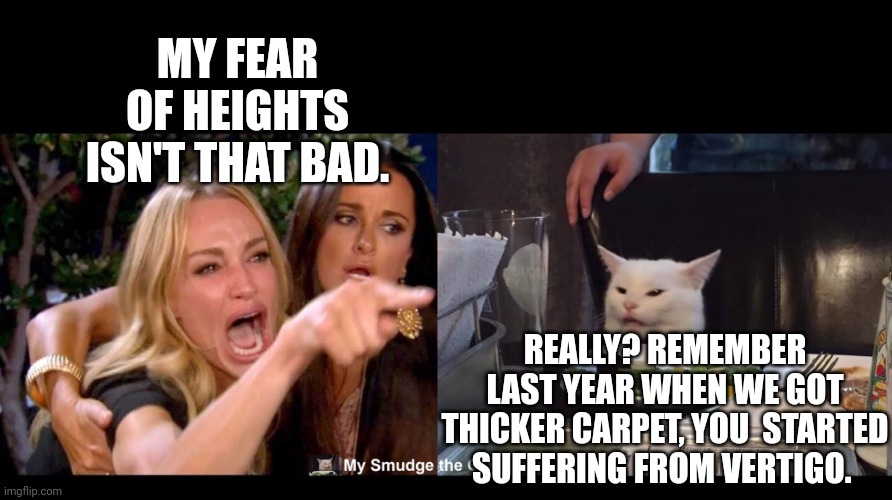 MY FEAR OF HEIGHTS ISN'T THAT BAD. REALLY? REMEMBER LAST YEAR WHEN WE GOT THICKER CARPET, YOU  STARTED SUFFERING FROM VERTIGO. | image tagged in smudge the cat | made w/ Imgflip meme maker