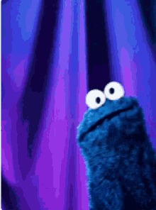 Kookie monster Blank Meme Template