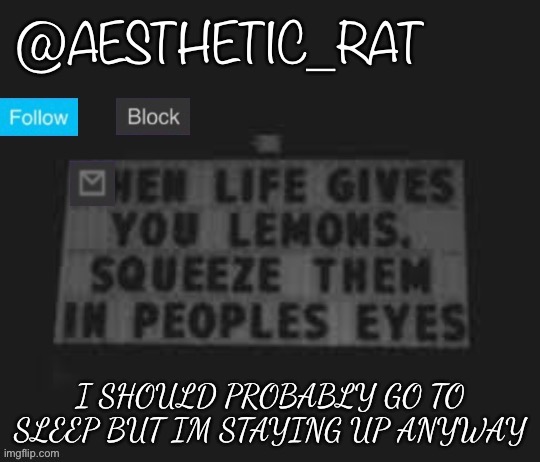 Aesthetic_Rat | I SHOULD PROBABLY GO TO SLEEP BUT IM STAYING UP ANYWAY | image tagged in aesthetic_rat | made w/ Imgflip meme maker