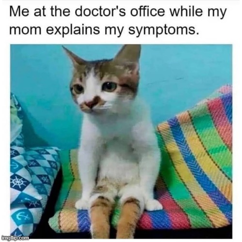 image tagged in memes | made w/ Imgflip meme maker