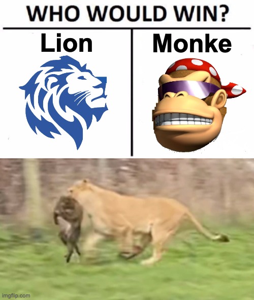 It's a Lioness, yeah ik. I just couldn't find a picture where it didn't have blood so... sorry. | Lion; Monke | image tagged in memes,who would win,unfunny | made w/ Imgflip meme maker