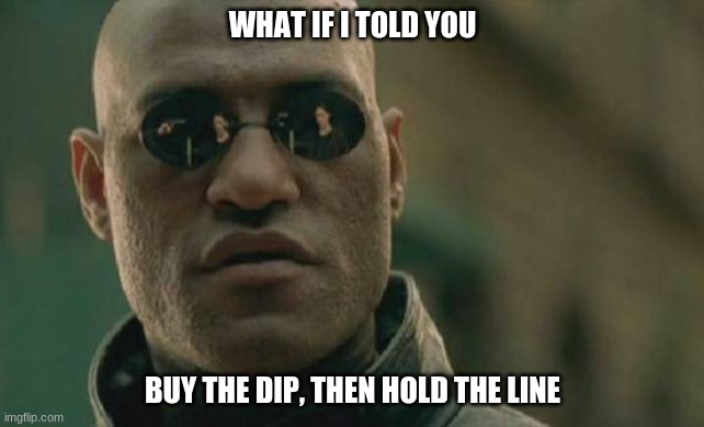 BUY THAT DIP! | WHAT IF I TOLD YOU; BUY THE DIP, THEN HOLD THE LINE | image tagged in memes,matrix morpheus,reddit,wall street | made w/ Imgflip meme maker