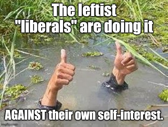 This is fine. No problem. | The leftist "liberals" are doing it AGAINST their own self-interest. | image tagged in this is fine no problem | made w/ Imgflip meme maker
