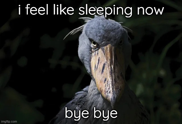 shoebill | i feel like sleeping now; bye bye | image tagged in shoebill | made w/ Imgflip meme maker