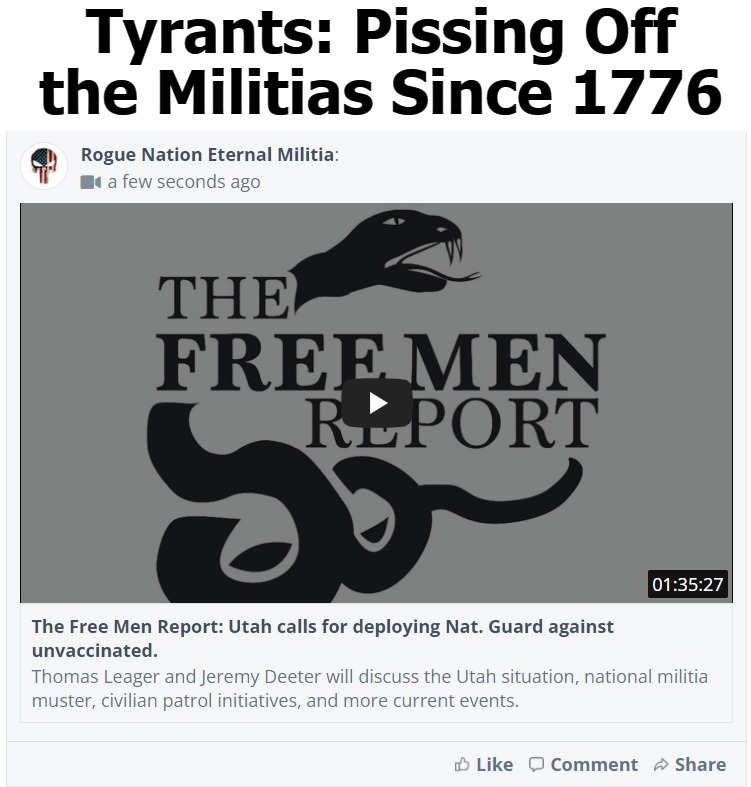 Tyrants: Pissing Off the Militias Since 1776 | image tagged in tyranny,tyrants,militia,2nd amendment,second amendment,sic semper tyrannis | made w/ Imgflip meme maker