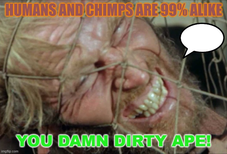 HUMANS AND CHIMPS ARE 99% ALIKE you damn dirty ape! | HUMANS AND CHIMPS ARE 99% ALIKE; YOU DAMN DIRTY APE! | image tagged in planet of the apes | made w/ Imgflip meme maker