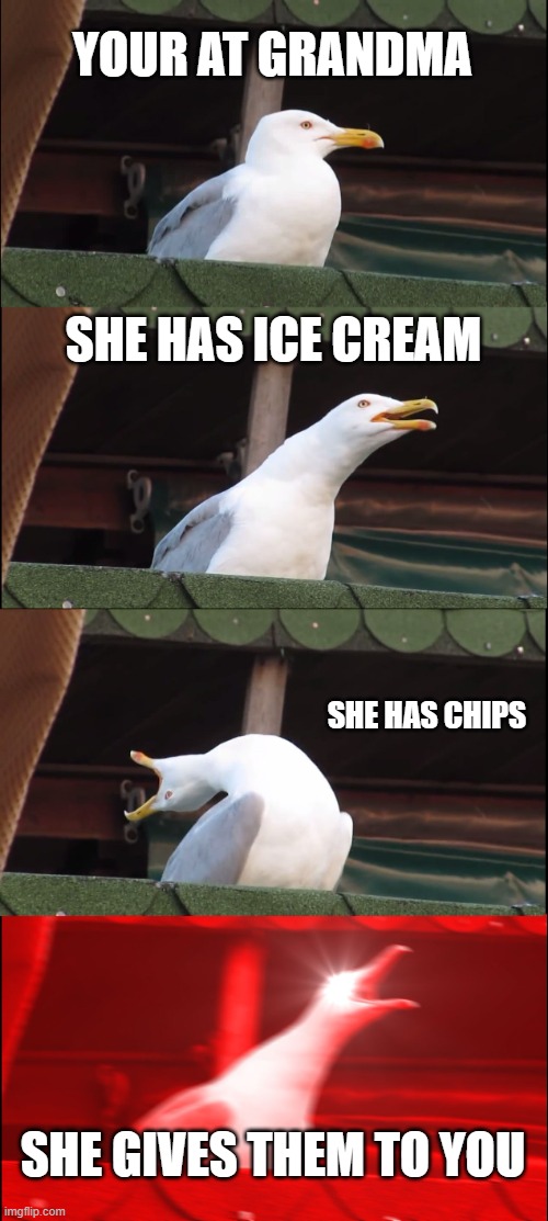 wen grandma | YOUR AT GRANDMA; SHE HAS ICE CREAM; SHE HAS CHIPS; SHE GIVES THEM TO YOU | image tagged in memes,inhaling seagull | made w/ Imgflip meme maker