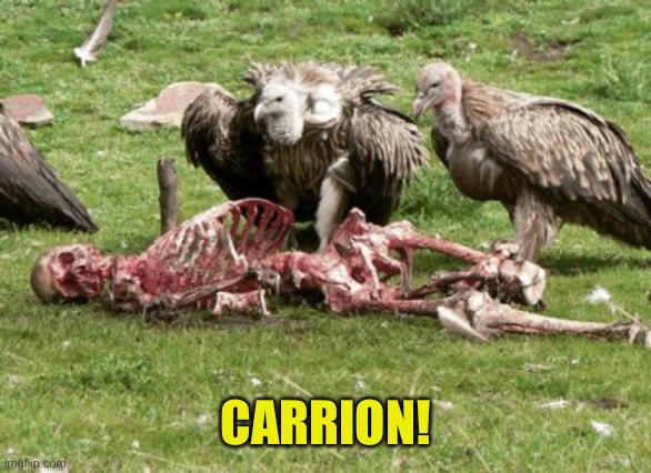 Nothing To See Here | CARRION! | image tagged in dead,carry on,carrion,vultures | made w/ Imgflip meme maker